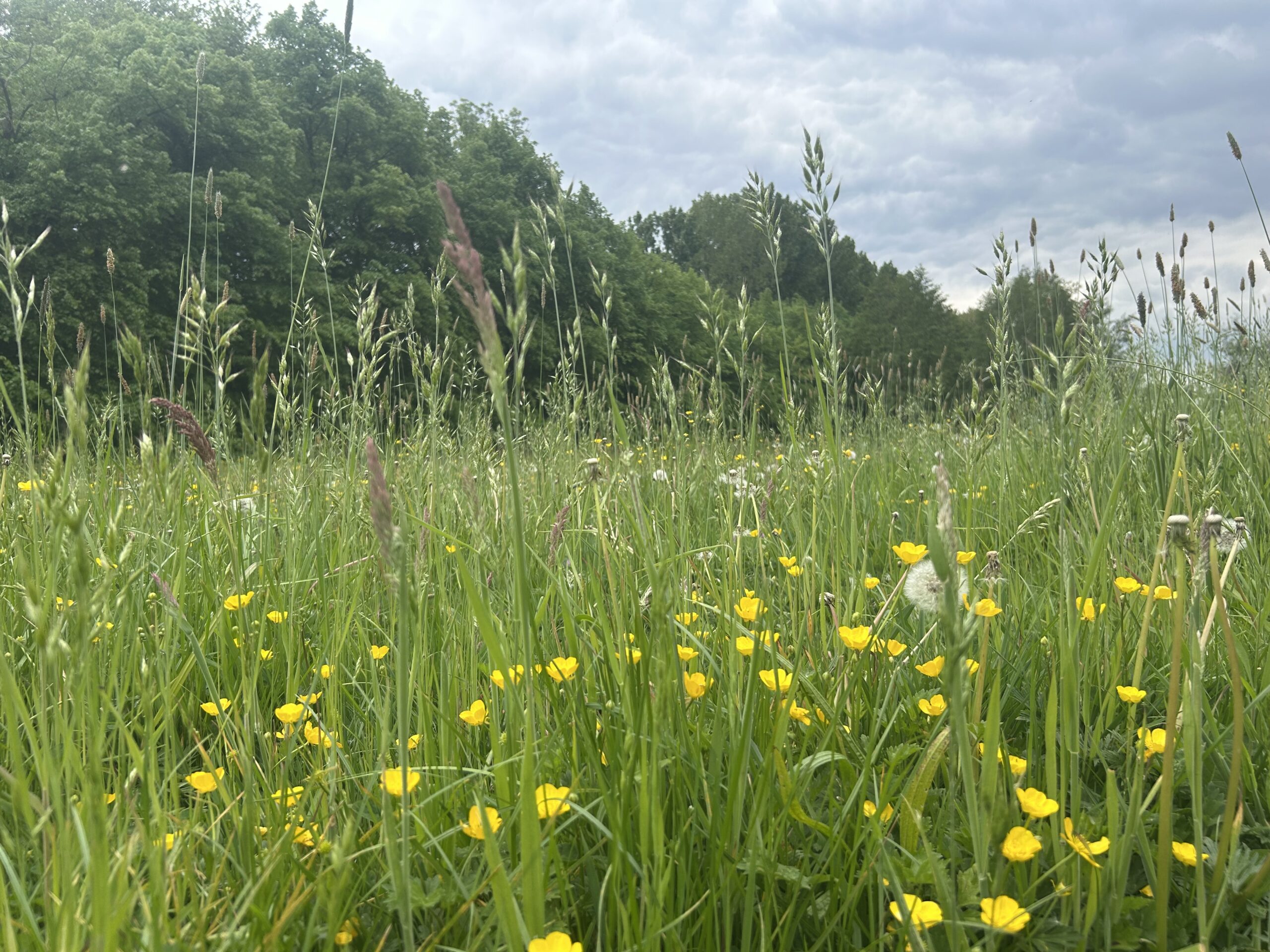 Natuur & Beweging